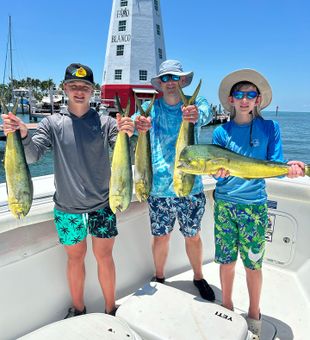 The stunning Mahi Mahi in Marathon FL